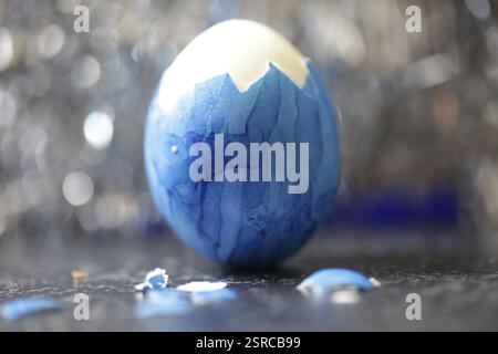 Blue Easter egg hen's egg, partially peeled with pieces of shell in front of dark restless bokeh background Stock Photo