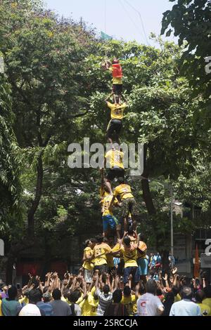 Human pyramid broken dahi handi, mumbai, maharashtra, india, asia Stock Photo