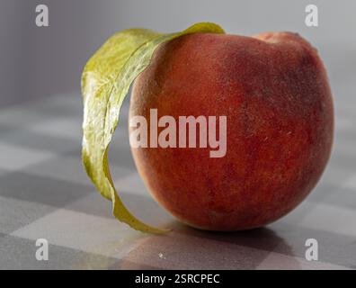 A beautiful shot of a peach in natural light. Stock Photo