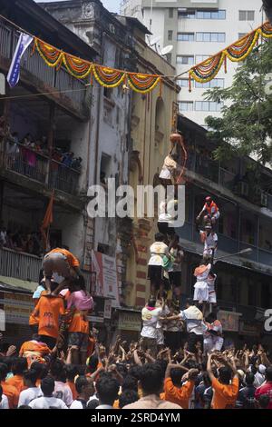 Human pyramid broken dahi handi, mumbai, maharashtra, india, asia Stock Photo