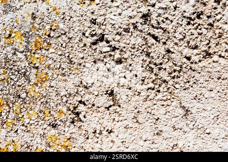 Small pebbles embedded in concrete with yellow lichens. Andalucía, Spain, Europe Stock Photo