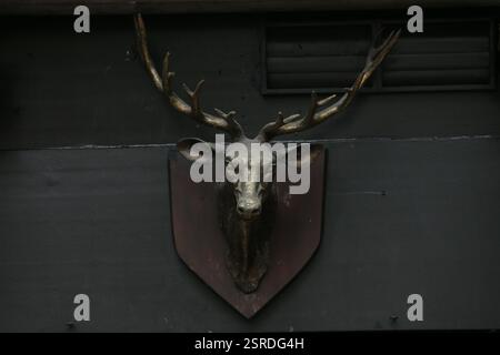 Dublin, Ireland - 11th February 2025 - a bronze bust of a stag's head hanging above the doorway of The Stag's Head pub in Dame Lane, Dublin city Stock Photo
