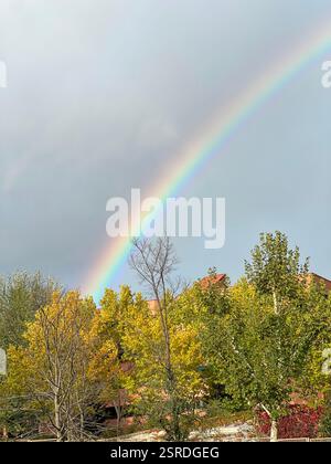 Rainbow over trees and clear sky Stock Photo