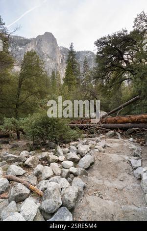 Fallen trees block a rocky trail in Yosemite National Park.  Nature's force. Stock Photo