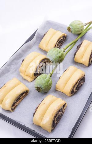 Raw Quick Poppy Seed Rolls Stock Photo