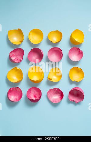 Yellow and Pink Cracked Easter Eggshells Arranged in a Rows on Light Blue Background. Stock Photo