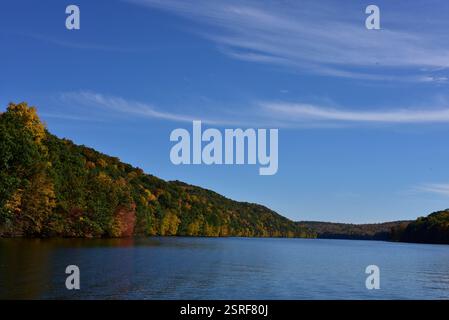 Autumn colors paint the maple tree, reflecting serenely on the still pond. Stock Photo