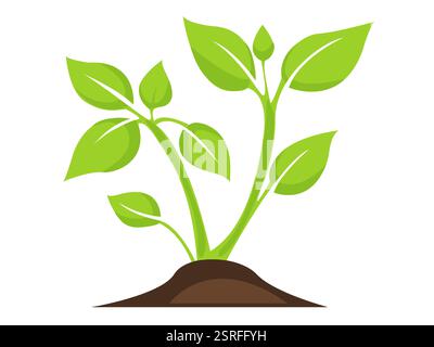 Growing green plants in soil showcasing healthy foliage and new buds in a simple illustration of nature s beauty Stock Vector