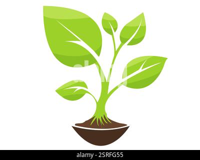 Vector illustration of a green plant growing from soil with multiple leaves and a strong stem Stock Vector