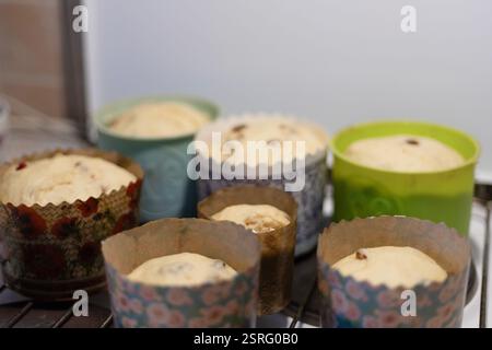 the dough for the Easter cake is laid out in forms Stock Photo