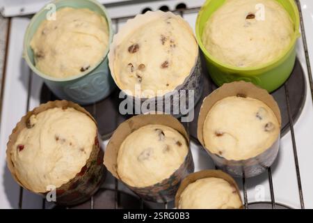 the dough for the Easter cake is laid out in forms Stock Photo
