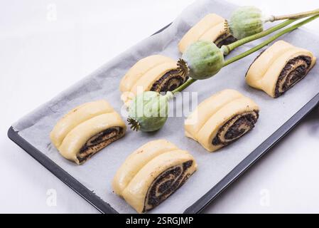 Raw Quick Poppy Seed Rolls Stock Photo