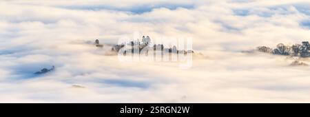 Row of trees poking out of the thick morning mist above Windermere in The Lake District, UK. Stock Photo