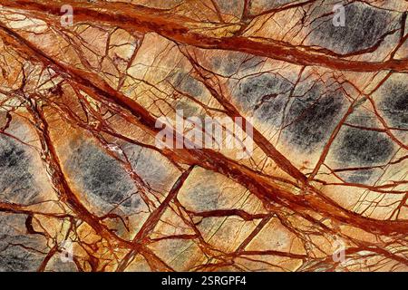 Beautiful Rainforest Green Extra - marble background, texture in stylish colors for your new modern design look. Stock Photo