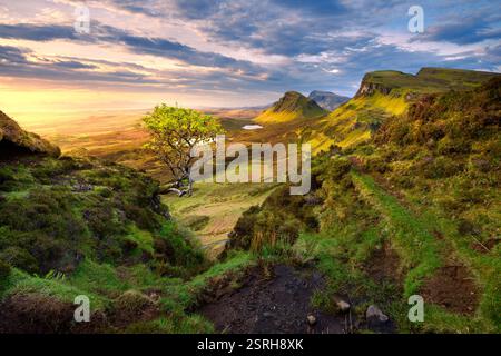 Lone tree overlooking dramatic view of Trotternish Ridge, seen from Quiraing on The Isle of Skye, Scotland, UK. Stock Photo