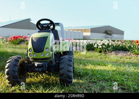 A green tractor stands on farmland near a flower tulip field, spring planting, gardening season, and sustainable farm life Stock Photo