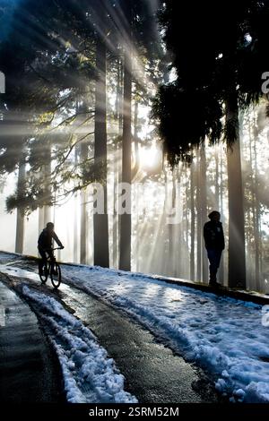 A lonely man sitting on greenery Stock Photo