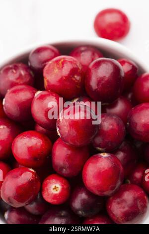 Ceramic bowl of Cranberry on white background Stock Photo