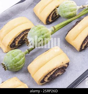 Raw Quick Poppy Seed Rolls Stock Photo