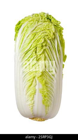 Fresh chinese cabbage isolated on a white background. Whole crispy napa cabbage with green leaves cutout. Food design, vegan food, vegetable concept. Stock Photo