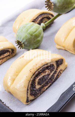 Raw Quick Poppy Seed Rolls Stock Photo