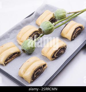 Raw Quick Poppy Seed Rolls Stock Photo