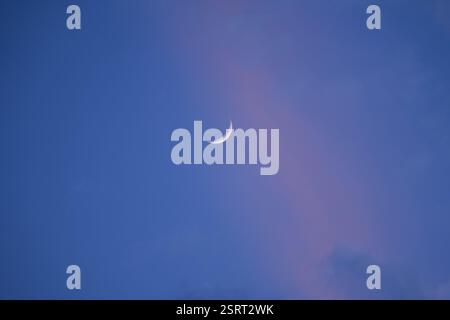 Waxing Crescent Moon in the Blue and Pink Afternoon Sky Background Stock Photo