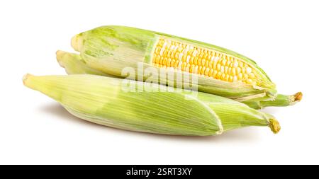 corn path isolated on white Stock Photo