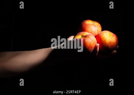 peaches in hand on black background Stock Photo