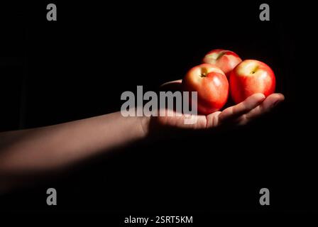 white nectarine in hand on black background Stock Photo