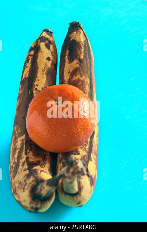 Mandarin and bananas out of date. Stock Photo