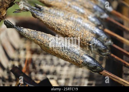 Mackerel Steckerlfisch, roasted mackerel on a wooden stick over a fireplace, medieval market Gross-Umstadt Stock Photo