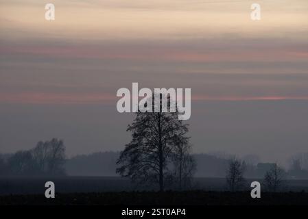 "The image shows a lonely tree against a twilight sky in shades of orange and pink. The silhouettes of trees and grasses create an enchanting landscap Stock Photo