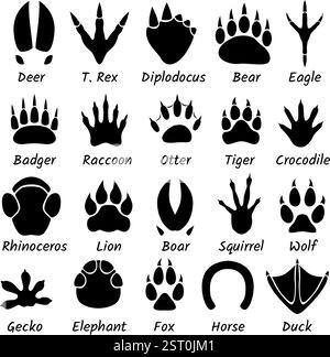 Animal tracks footprints wildlife forest animals Dinosaur Bear Lion Elephant Badger vector isolated set Stock Vector