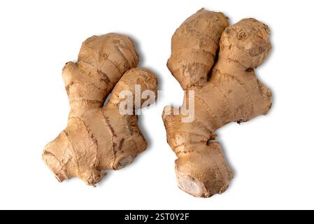 Ginger root isolated on white with clipping path included Stock Photo