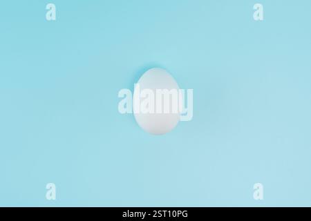 A single white egg placed on a pastel blue background, casting a soft shadow. Minimalist composition with a clean and modern aesthetic, symbolizing pu Stock Photo