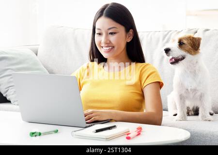 Joyful asian lady surfing on Internet, cute puppy sitting by Stock Photo