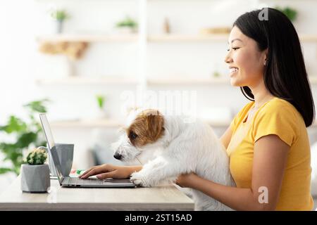 Pretty chinese lady freelancer working from home, petting her dog Stock Photo