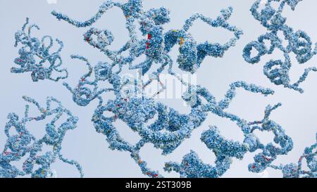 Molecular structure of human Insulin like growth factors, biological ...