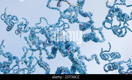 Molecular structure of human Insulin like growth factors, biological ...