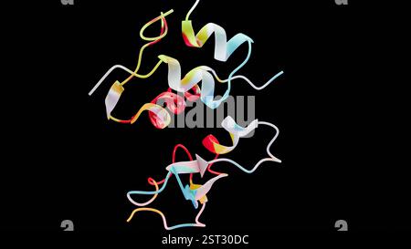 Molecular structure of human Insulin like growth factors, biological ...