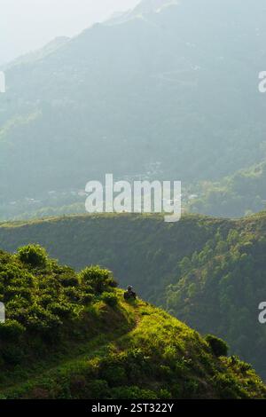 A lonely man sitting on greenery Stock Photo
