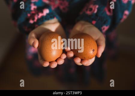 Close up of kid hands holding two brown eggs Stock Photo