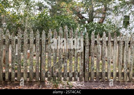 A wooden fence covered in lichen Stock Photo