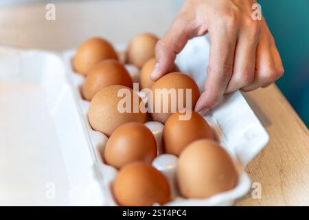 women with holding a cardboard egg box full of her eggs. the girl takes one chicken egg from a white box Stock Photo