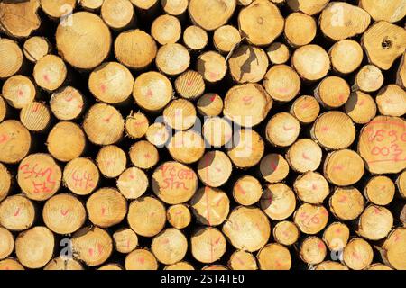 pile of wood texture background Stock Photo
