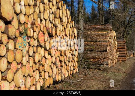 stack of logs in the wooden industry Stock Photo