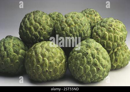 Fruits, custard apples on white background Stock Photo