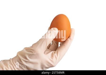 A hand holding the last remaining egg in his hands isolated on a white background Stock Photo