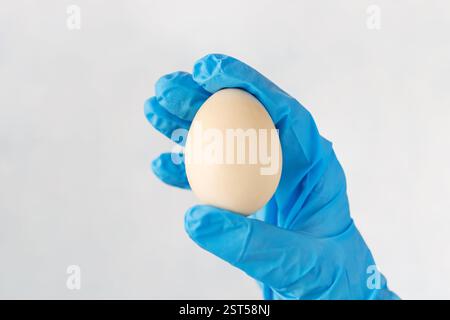 right hand in a blue rubber glove is transferring yellow chicken eggs from a cardboard patch to a plastic container. Close-up Stock Photo